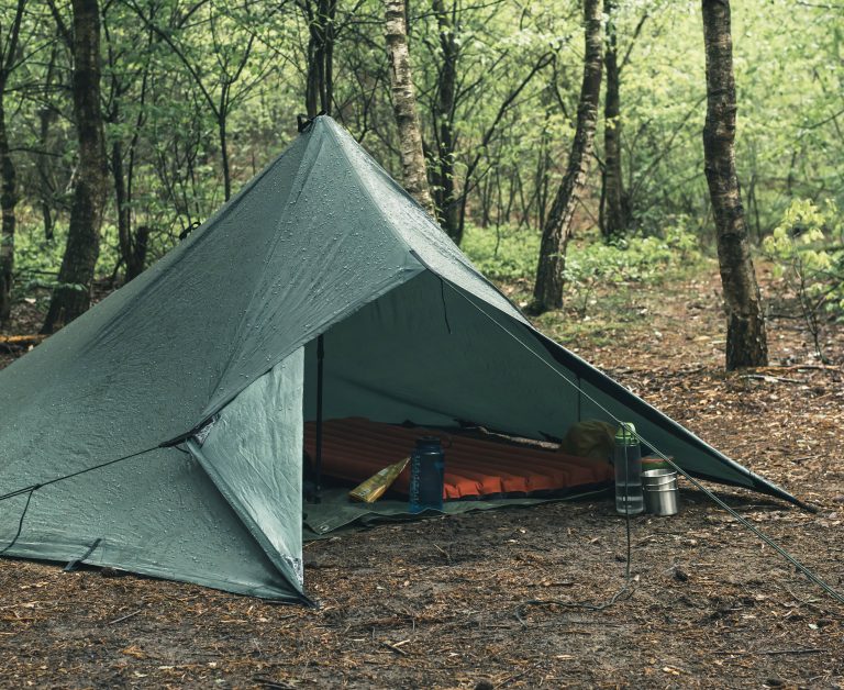 Green tent in forest in spring